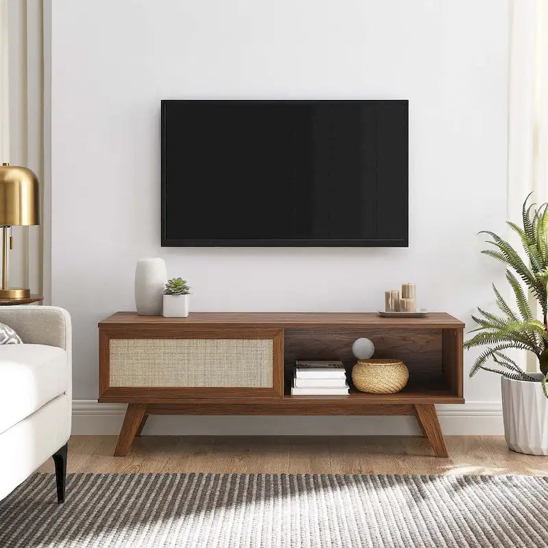47-Inch Rattan TV Stand with Sliding Door