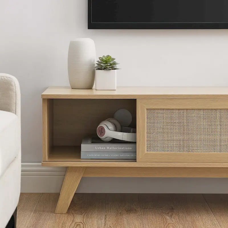 47-Inch Rattan TV Stand with Sliding Door