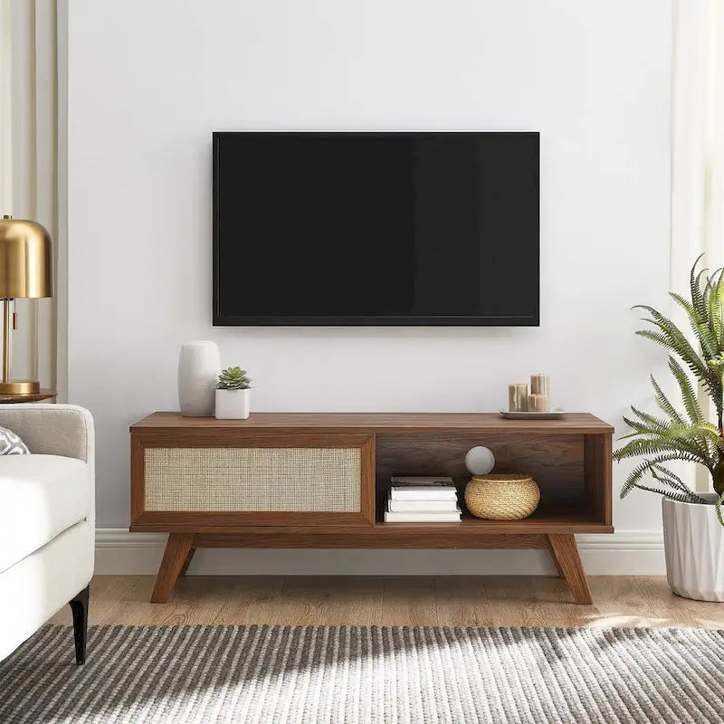47-Inch Rattan TV Stand with Sliding Door