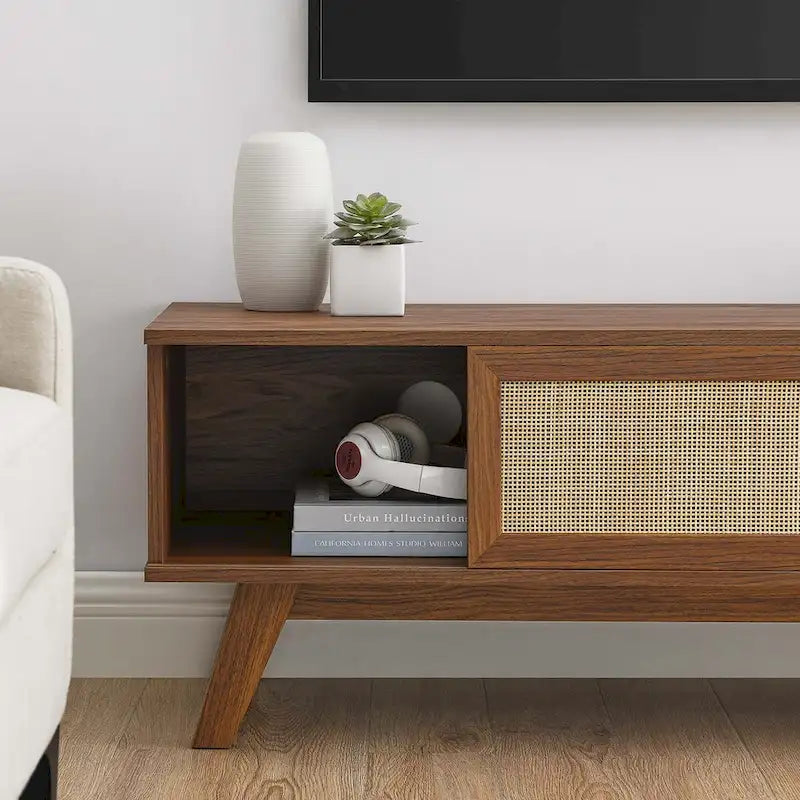 47-Inch Rattan TV Stand with Sliding Door